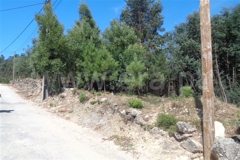 Terreno para Construção / Oliveira de Azeméis, Carregosa