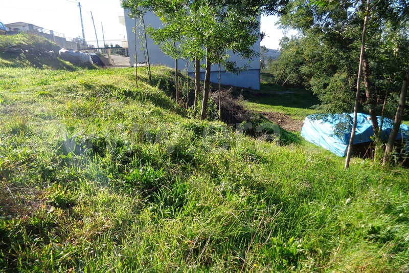 Terreno para Construção  Oliveira de Azeméis, Carregosa - 977983 - 2