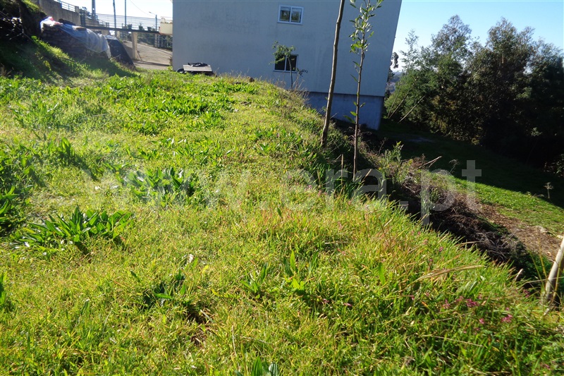 Terreno para Construção  Oliveira de Azeméis, Carregosa - 977983 - 3