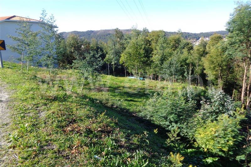Terreno para Construção / Oliveira de Azeméis, Carregosa