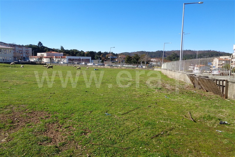 Terreno para Construção / Oliveira de Azeméis, Carregosa