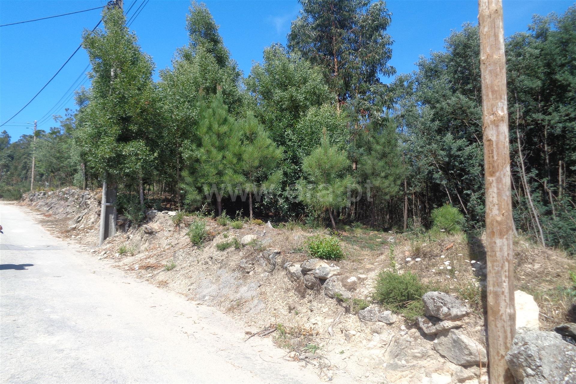 Land for sale in Oliveira de Azeméis, Portugal — €50,000
