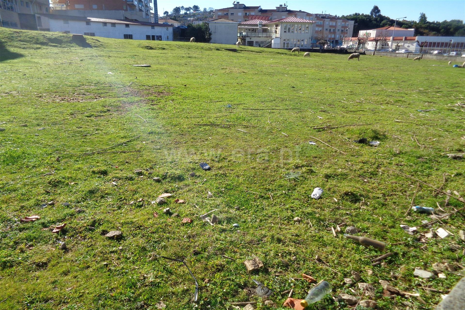 Land for sale in Oliveira de Azeméis, Portugal — €362,500