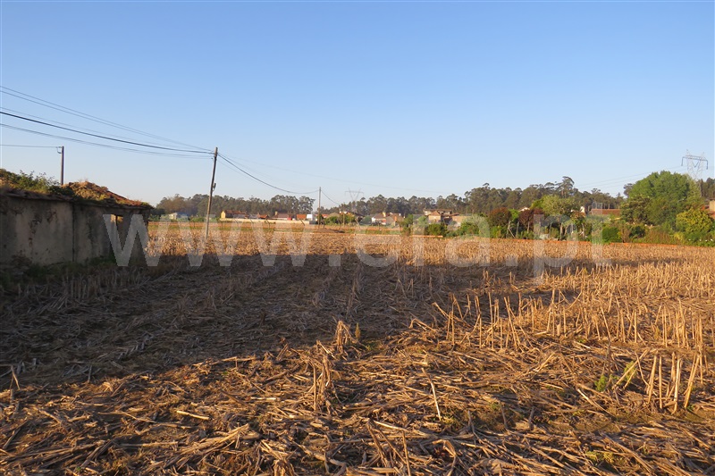 Terreno para Construção / Oliveira de Azeméis, Loureiro