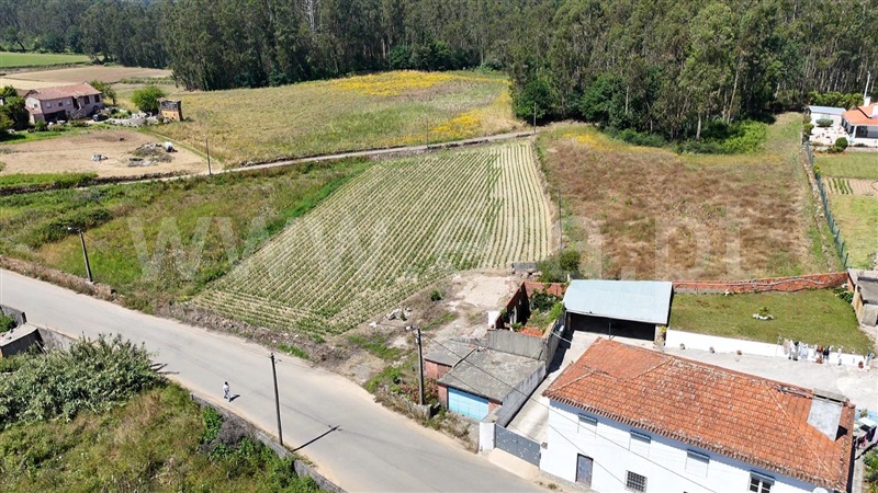 Terreno / Oliveira de Azeméis, Loureiro