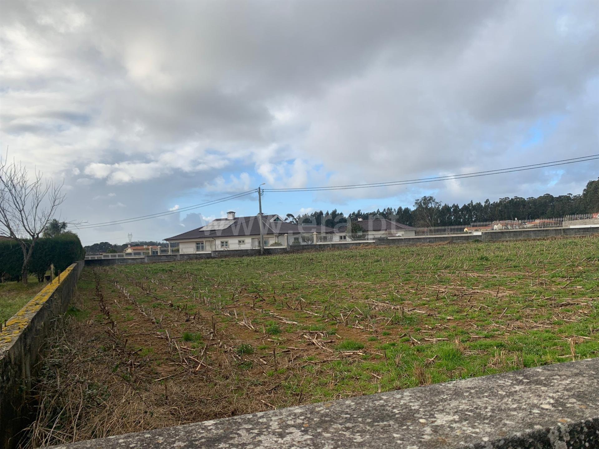 Land for sale in Oliveira de Azeméis, Portugal — €60,000
