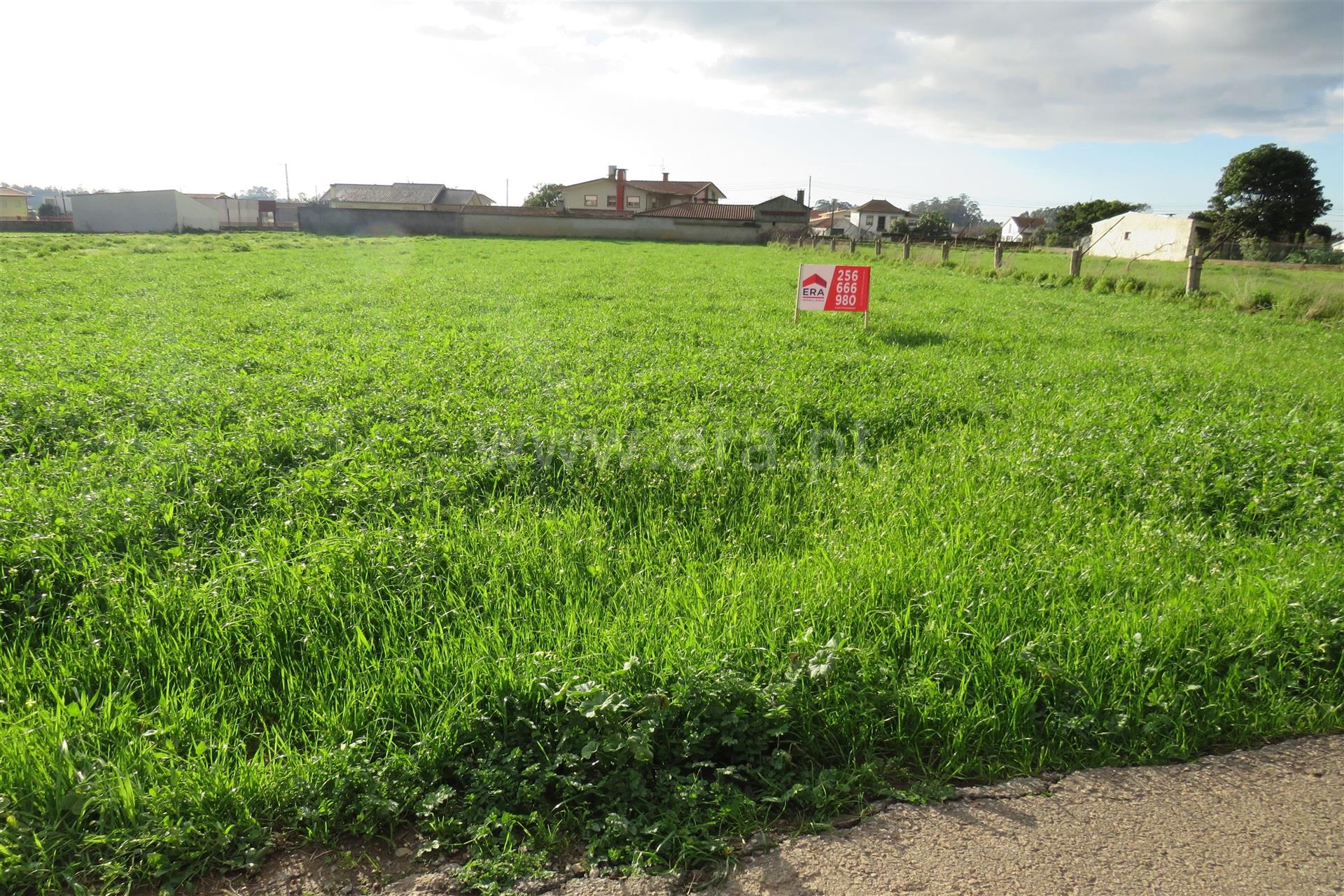 Land for sale in Oliveira de Azeméis, Portugal — €67,380