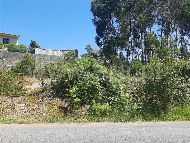 Terreno para Construção  Oliveira de Azeméis, Macieira de Sarnes - 1453106 - 4