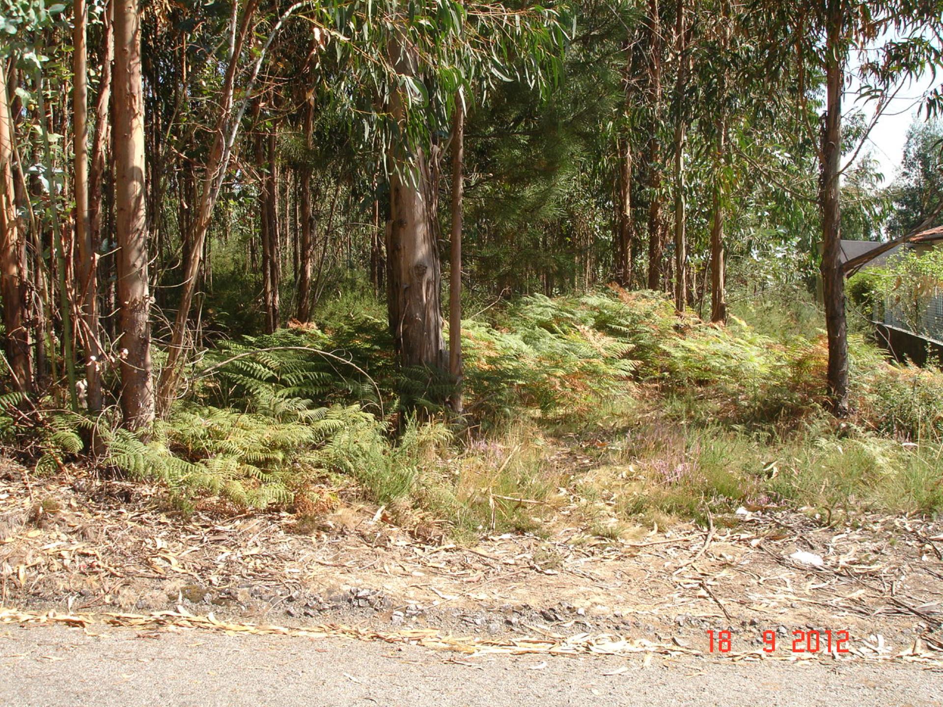 Land for sale in Oliveira de Azeméis, Portugal — €51,000