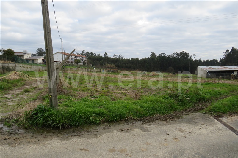 Terreno para Construção / Oliveira de Azeméis, Madail