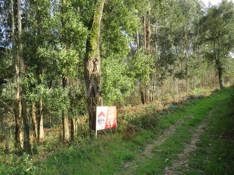 Terreno para Construção / Oliveira de Azeméis, Nogueira do Cravo e Pindelo