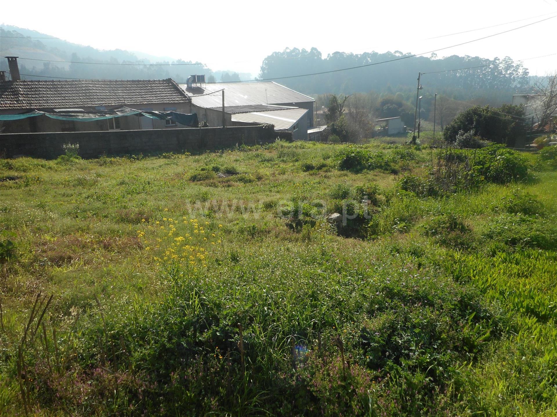 Land for sale in Oliveira de Azeméis, Portugal — €60,000
