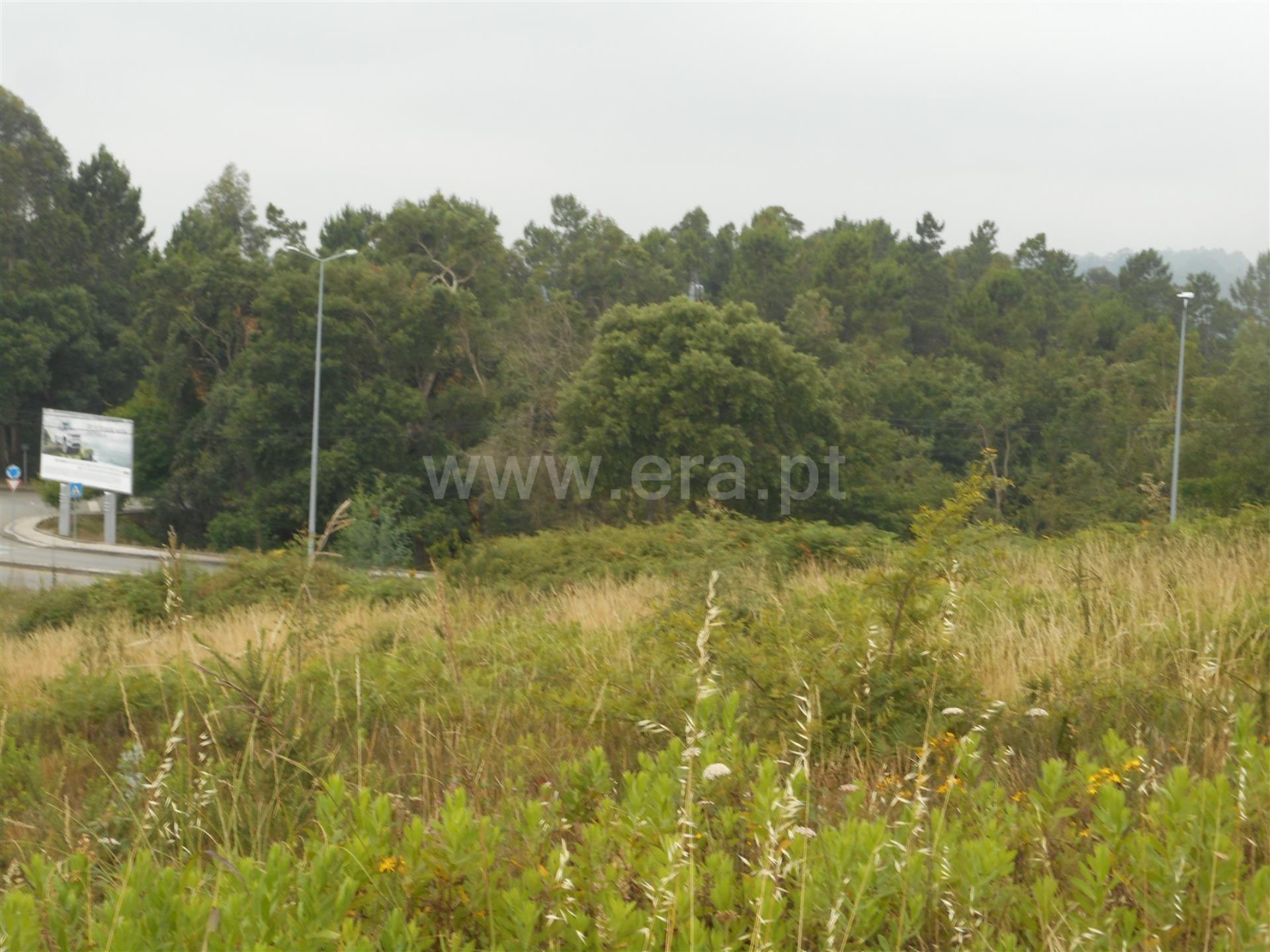 Land for sale in Oliveira de Azeméis, Portugal — €220,000