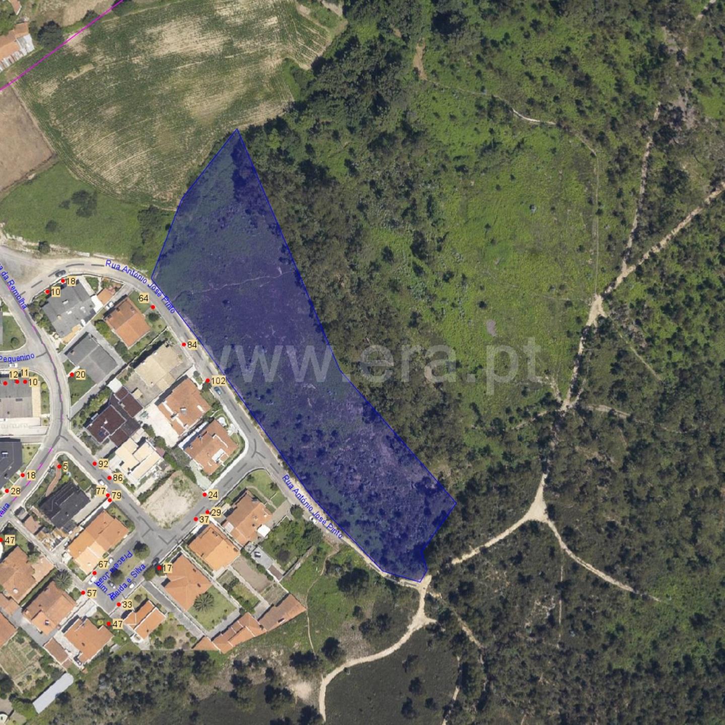 Land for sale in Oliveira de Azeméis, Portugal — €420,000