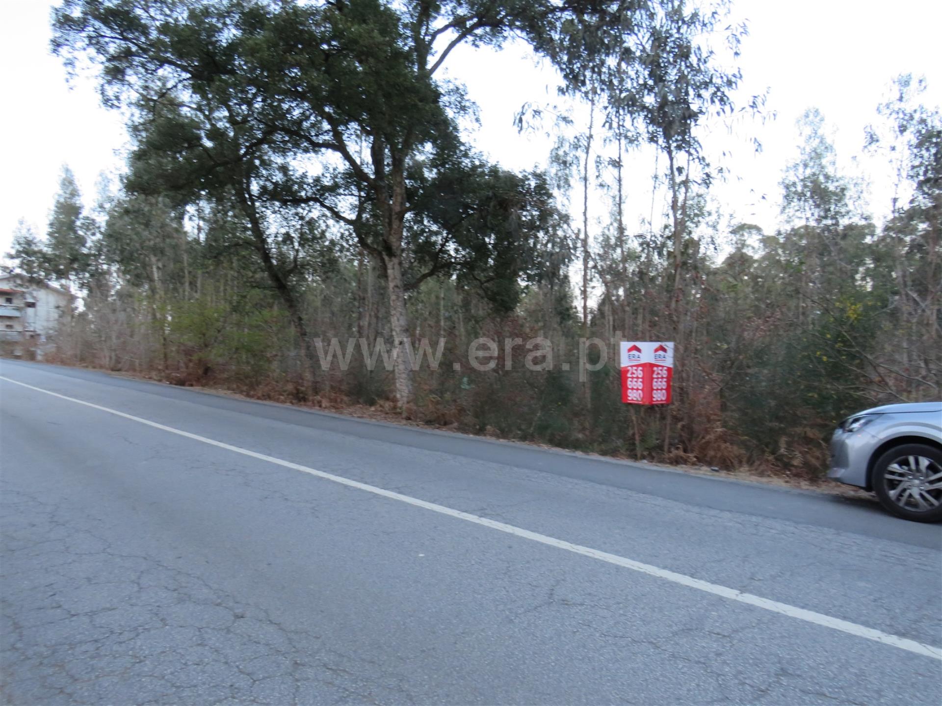 Land for sale in Oliveira de Azeméis, Portugal — €250,000