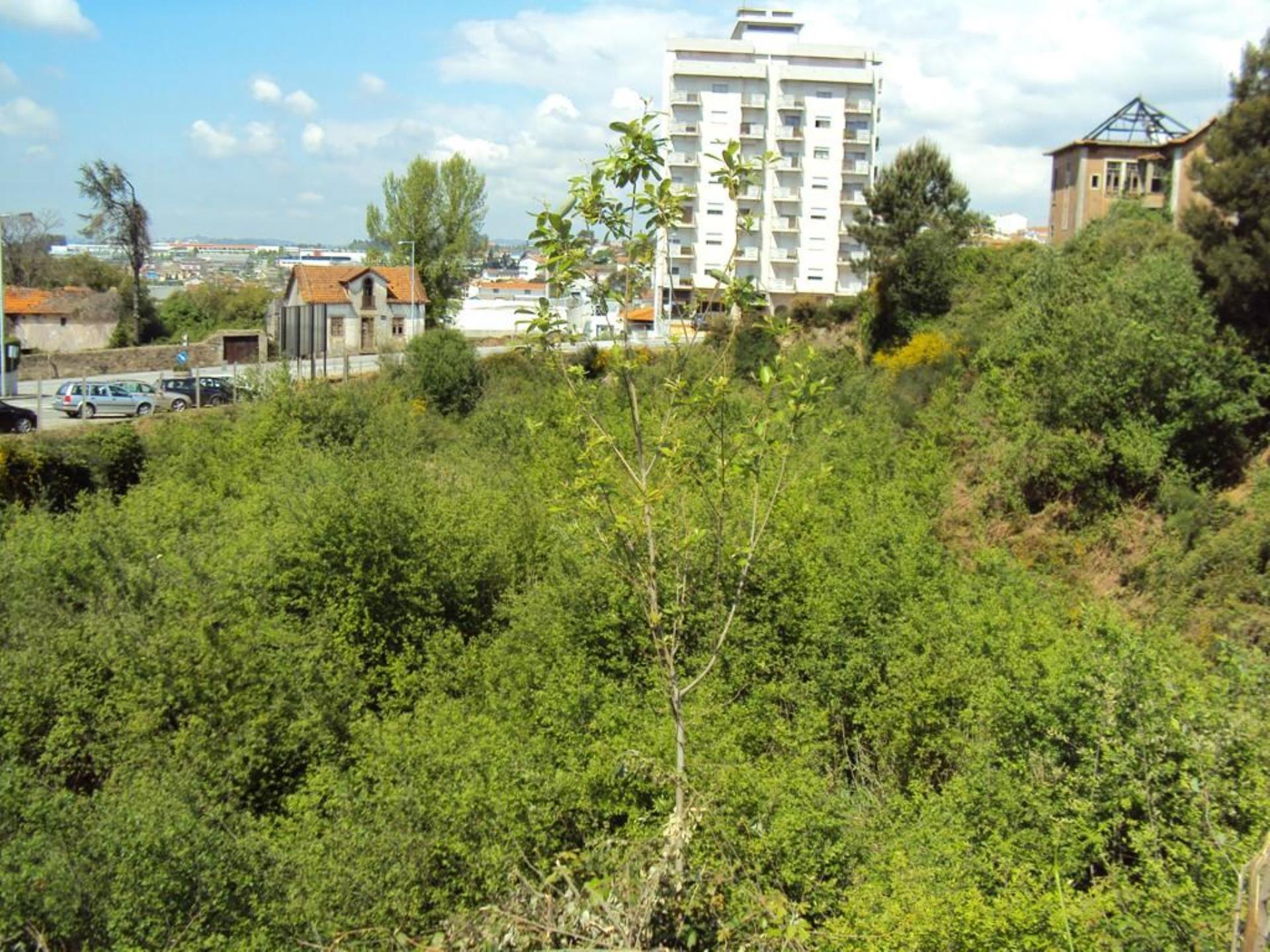 Land for sale in Oliveira de Azeméis, Portugal — €850,000