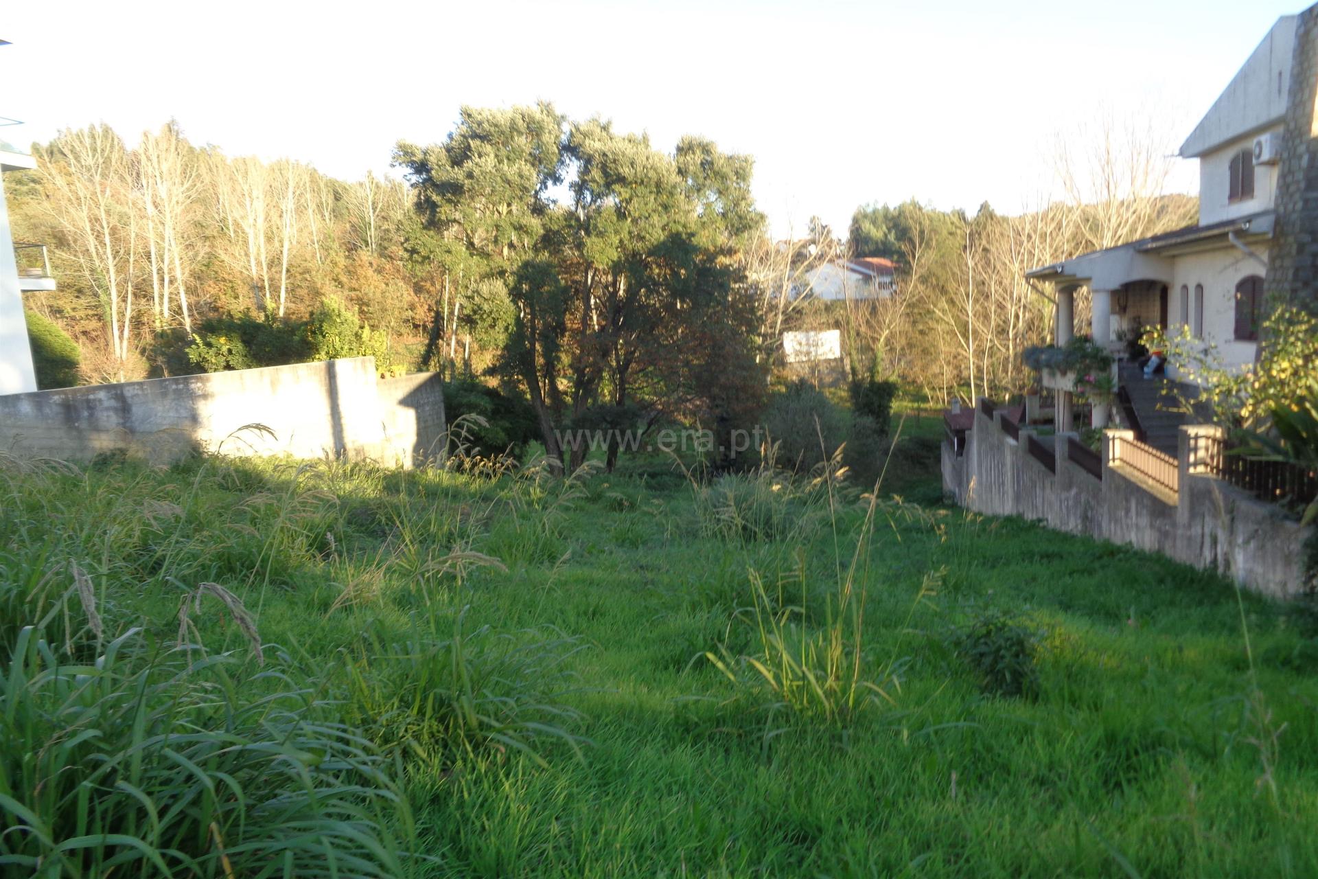 Land for sale in Oliveira de Azeméis, Portugal — €60,000
