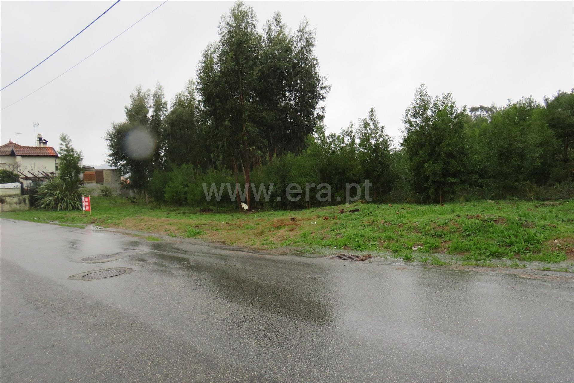 Land for sale in Oliveira de Azeméis, Portugal — €295,000