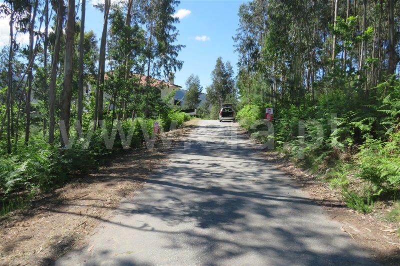Terreno para Construção / Oliveira de Azeméis, Ossela