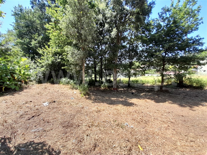 Terreno para Construção  Oliveira de Azeméis, Ossela - 1342221 - 4