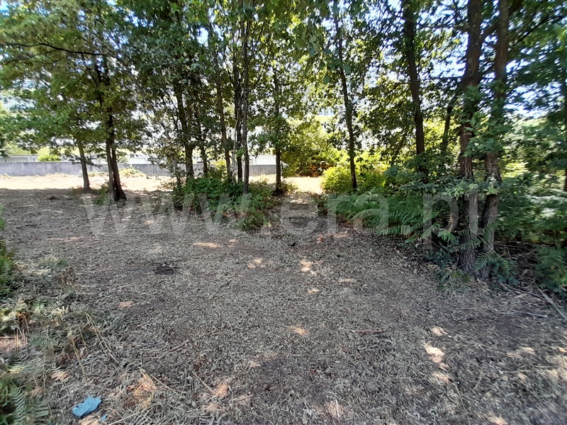 Terreno para Construção  Oliveira de Azeméis, Ossela - 1342221 - 6