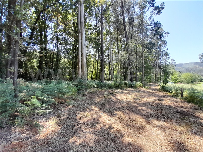 Terreno para Construção  Oliveira de Azeméis, Ossela - 1342221 - 7