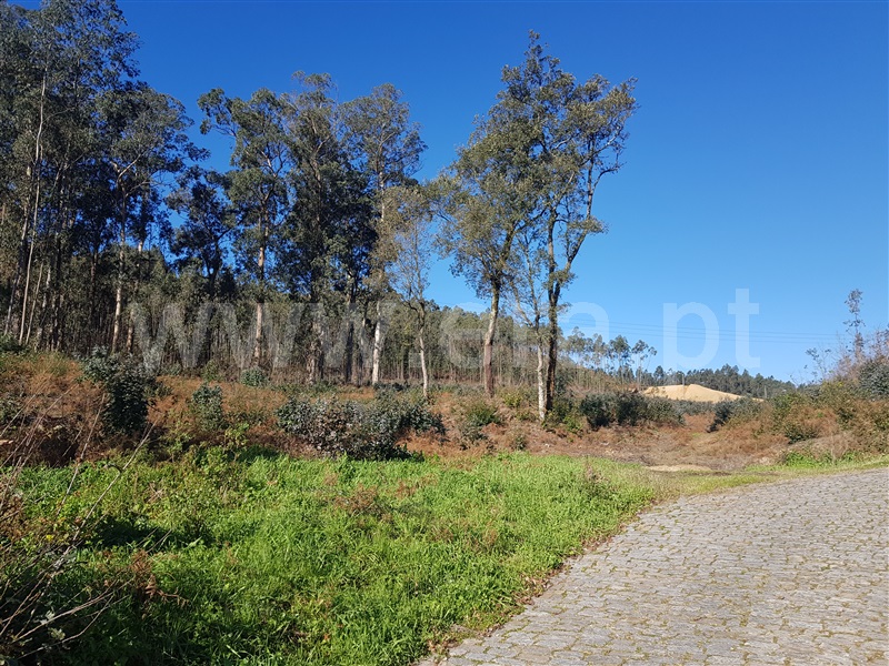 Terreno para Construção / Oliveira de Azeméis, Ossela