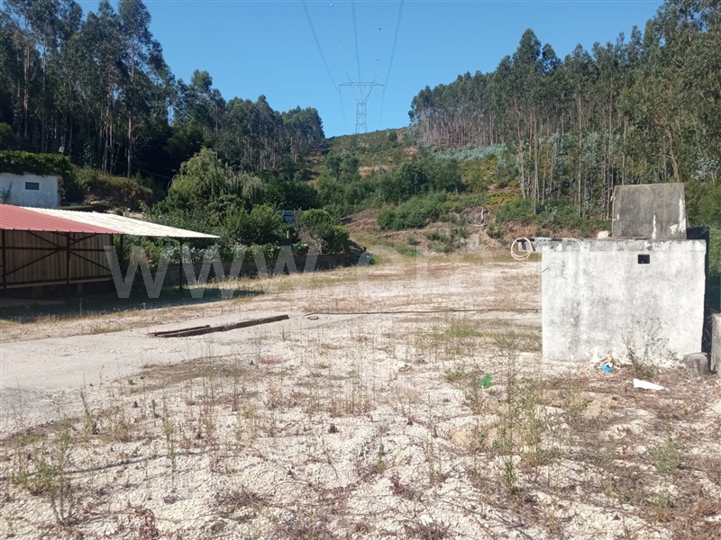 Terreno para Construção  Oliveira de Azeméis, Ossela - 1424177 - 7