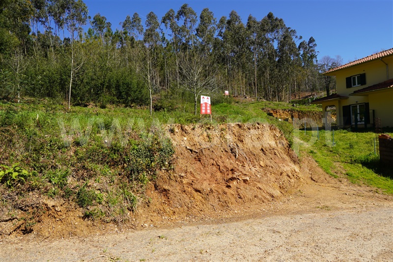 Terreno para Construção / Oliveira de Azeméis, Ossela