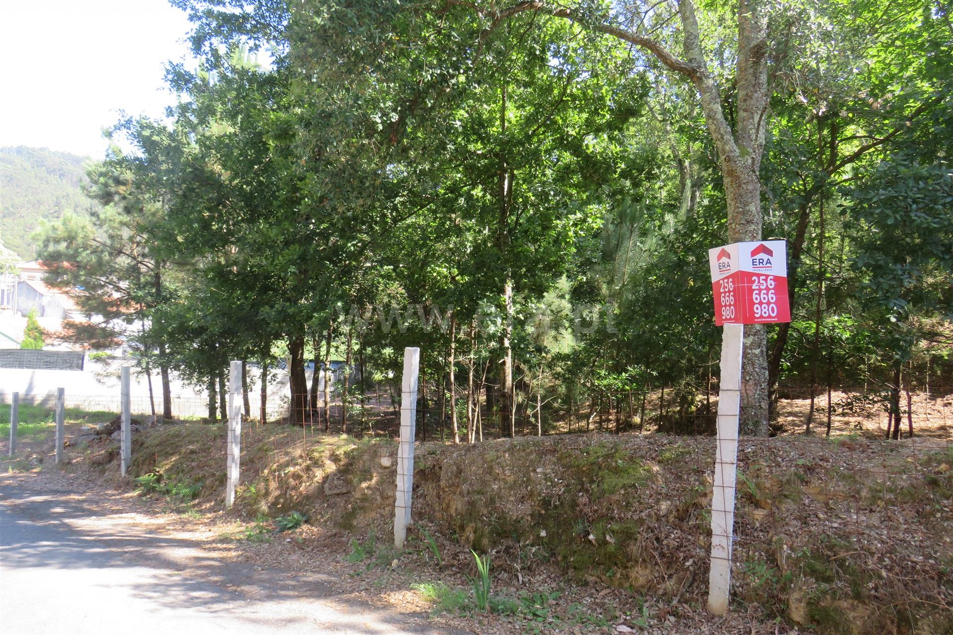Land for sale in Oliveira de Azeméis, Portugal — €67,500