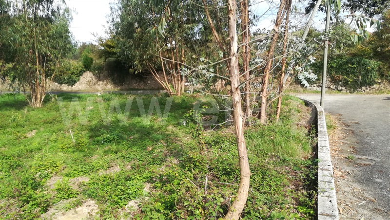 Terreno para Construção / Oliveira de Azeméis, Palmaz
