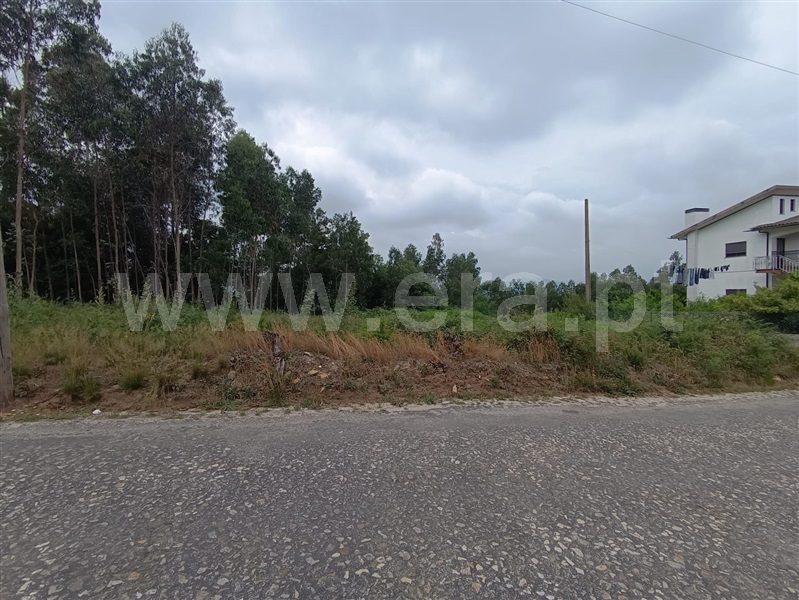 Terreno para Construção / Oliveira de Azeméis, Palmaz