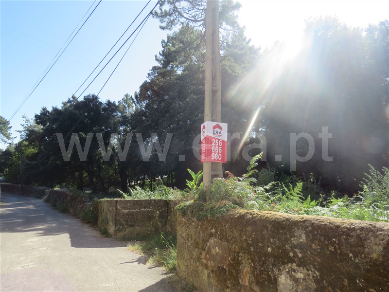 Terreno para Construção / Oliveira de Azeméis, Pindelo