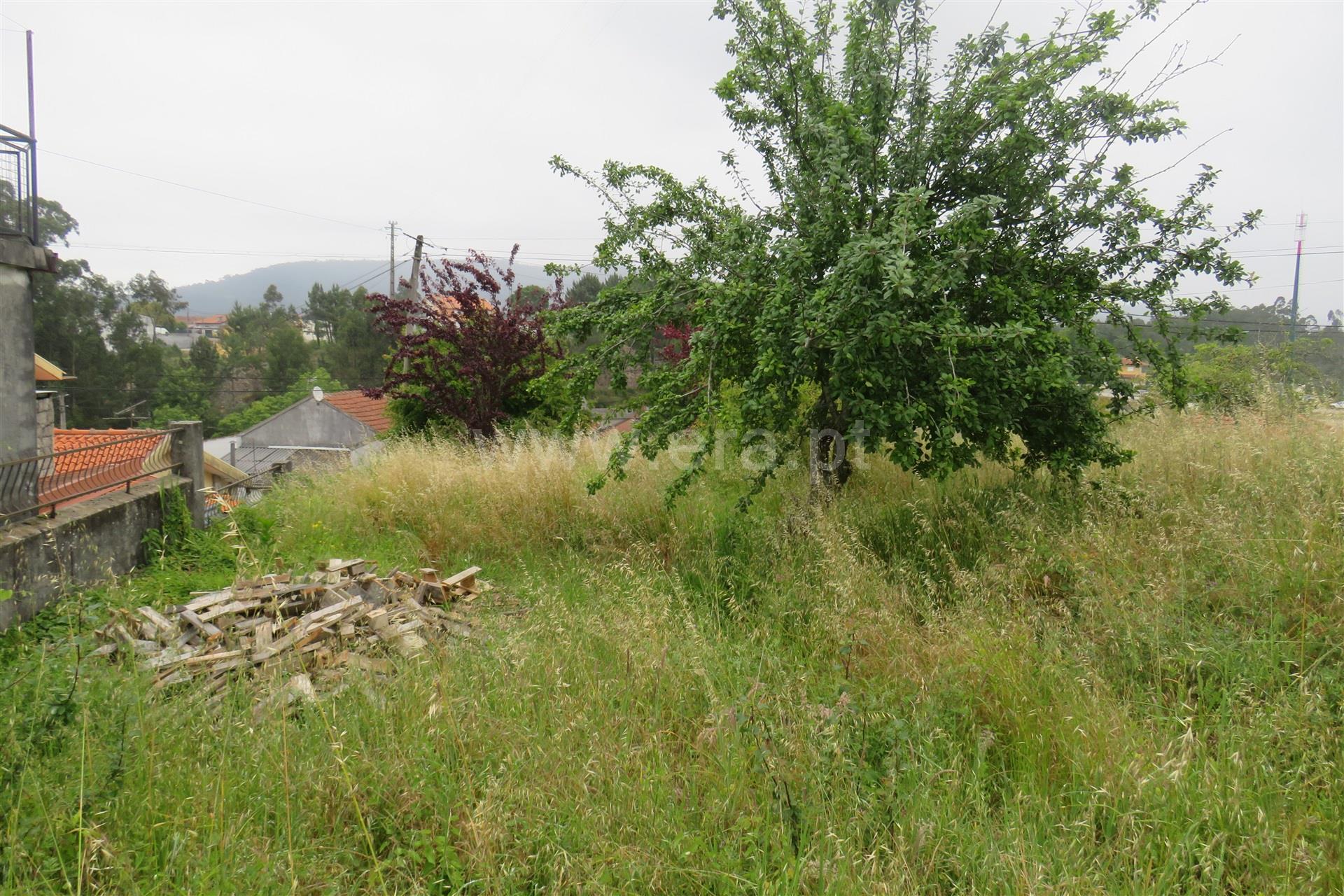 Land for sale in Oliveira de Azeméis, Portugal — €55,000