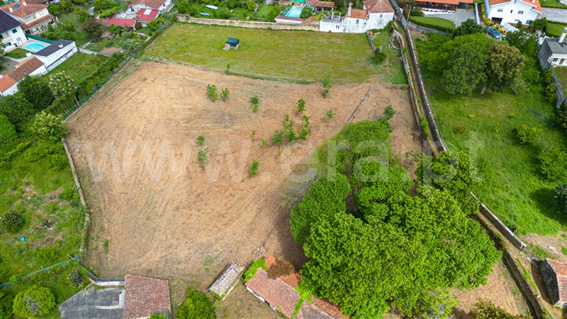 Terreno para Construção / Oliveira de Azeméis, Pinheiro da Bemposta