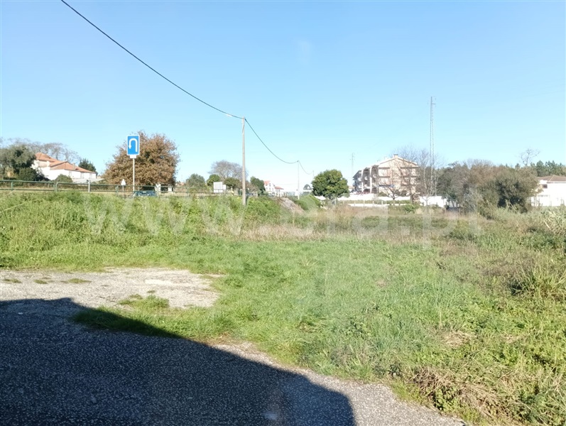 Terreno para Construção  Oliveira de Azeméis, Pinheiro da Bemposta - 1375491 - 3