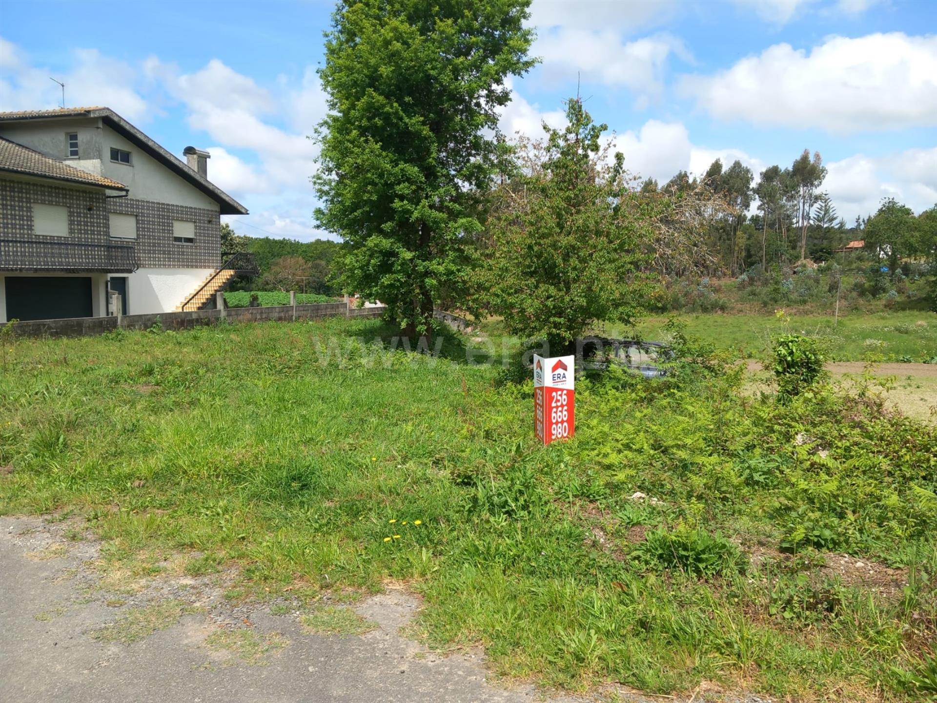 Land for sale in Oliveira de Azeméis, Portugal — €235,000