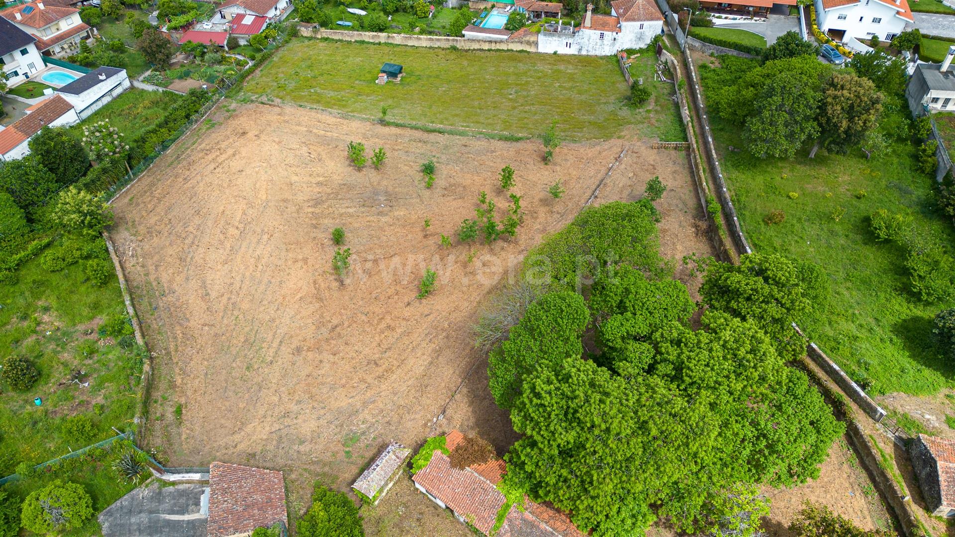 Land for sale in Oliveira de Azeméis, Portugal — €159,000