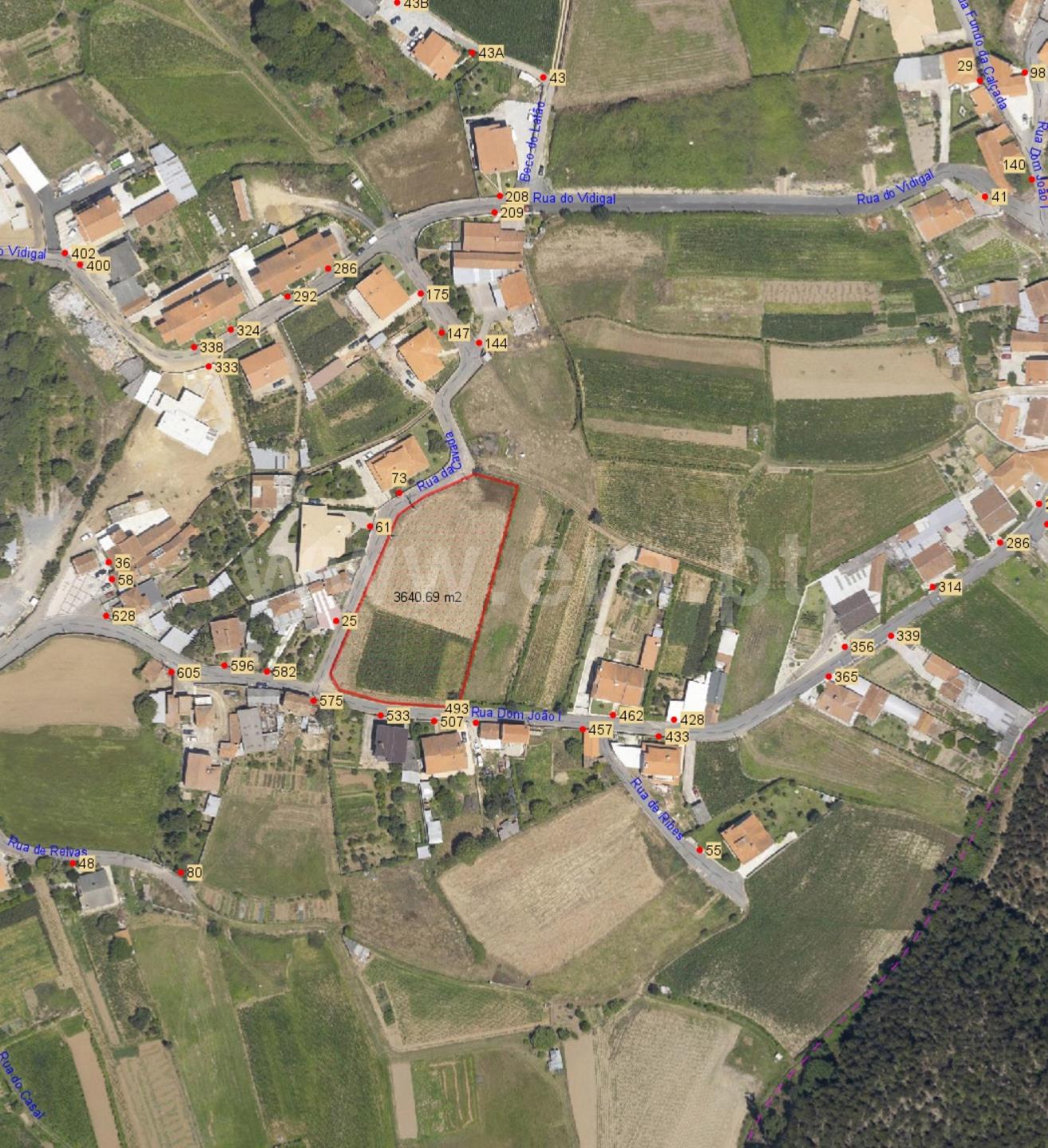 Land for sale in Oliveira de Azeméis, Portugal — €107,000