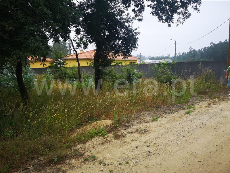 Terreno para Construção  Oliveira de Azeméis, São Martinho da Gândara - 1024524 - 2