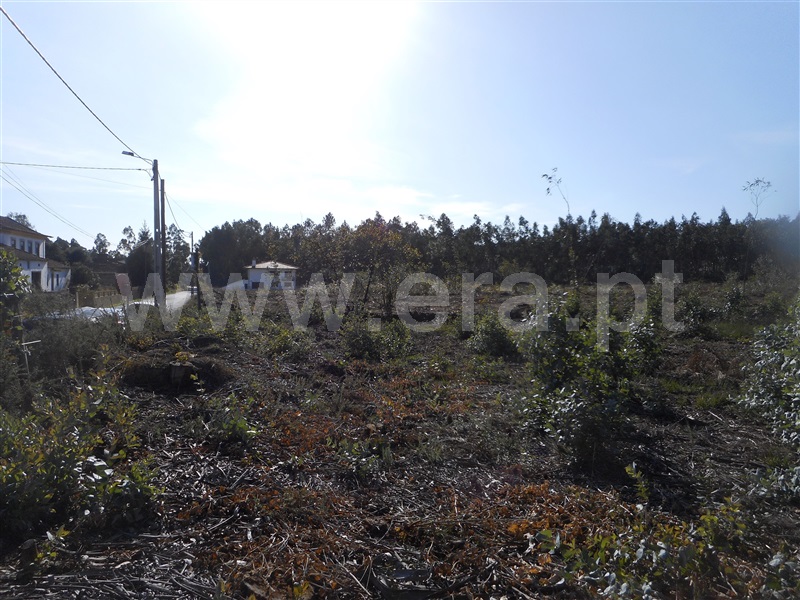 Terreno para Construção  Oliveira de Azeméis, São Martinho da Gândara - 1024524 - 6