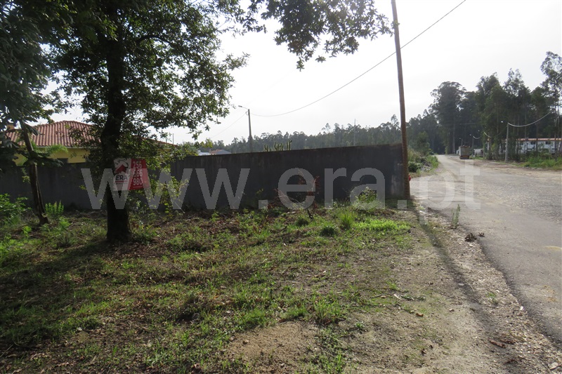 Terreno para Construção  Oliveira de Azeméis, São Martinho da Gândara - 1024524 - 7