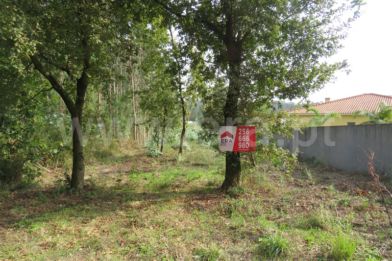 Terreno para Construção / Oliveira de Azeméis, São Martinho da Gândara