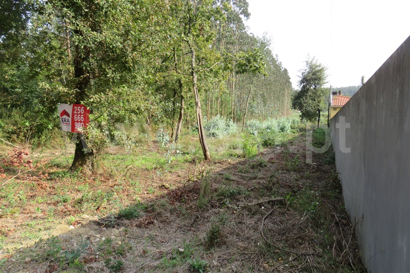 Terreno para Construção  Oliveira de Azeméis, São Martinho da Gândara - 1024524 - 8