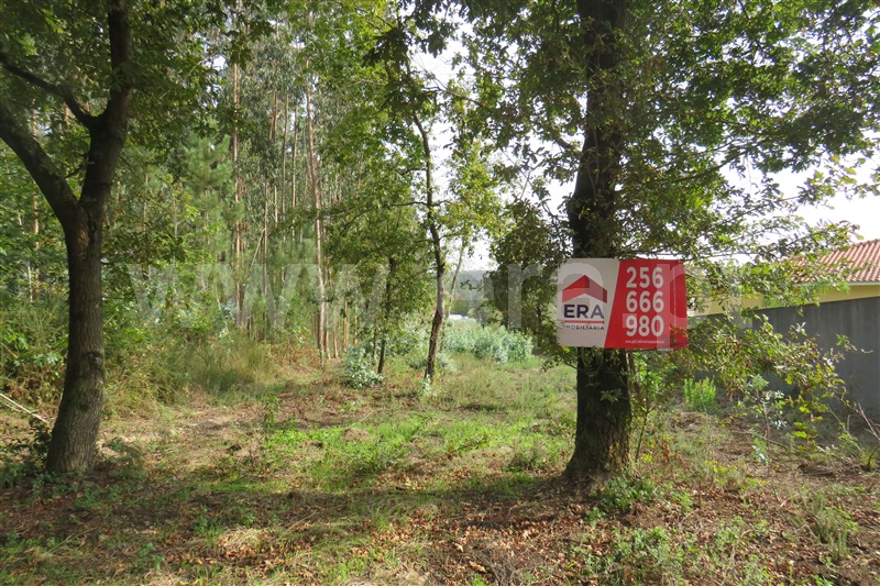 Terreno para Construção  Oliveira de Azeméis, São Martinho da Gândara - 1024524 - 9