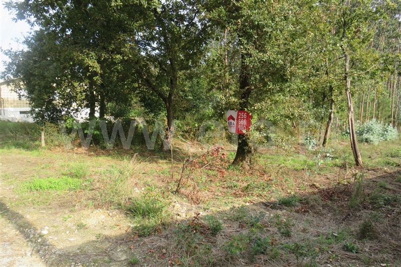 Terreno para Construção  Oliveira de Azeméis, São Martinho da Gândara - 1024524 - 10