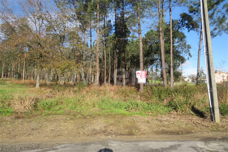 Terreno para Construção / Oliveira de Azeméis, São Martinho da Gândara