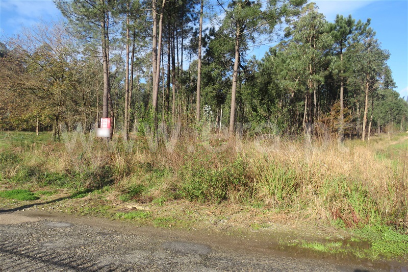Terreno para Construção  Oliveira de Azeméis, São Martinho da Gândara - 1141888 - 3