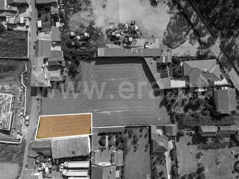 Terreno para Construção / Oliveira de Azeméis, São Martinho da Gândara