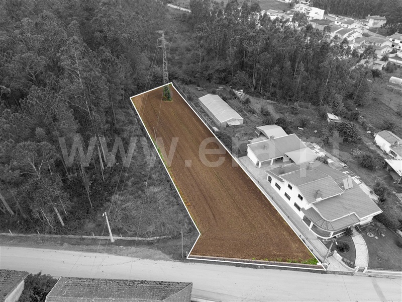 Terreno para Construção / Oliveira de Azeméis, São Martinho da Gândara